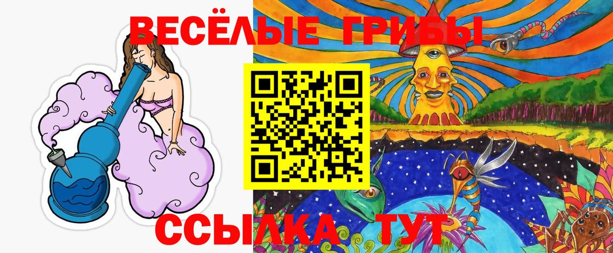 Псилоцибиновые грибы мицелий Сертолово